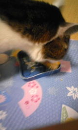 f88506f1.jpg
