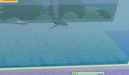 kujira5