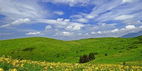 20150607135031