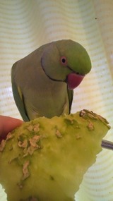 2010082106520001