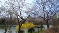 公園12-05-01a