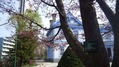 公園12-05-01c