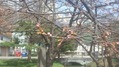 春2012-04-01