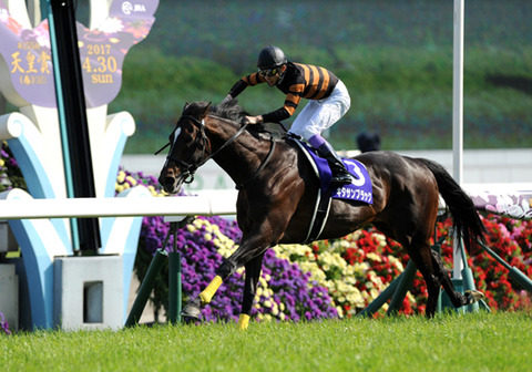 キタサンブラック競馬予想2017