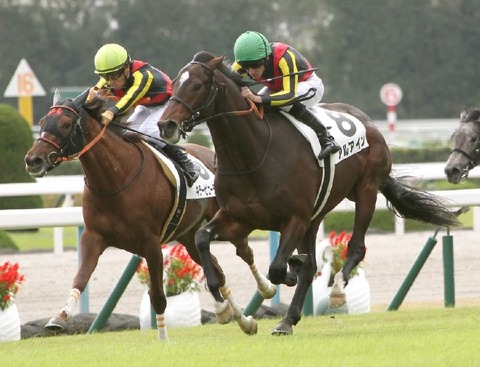 日本ダービー2017予想アルアイン馬ネット