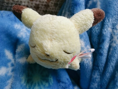IMG_-povbwl