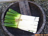 平吉