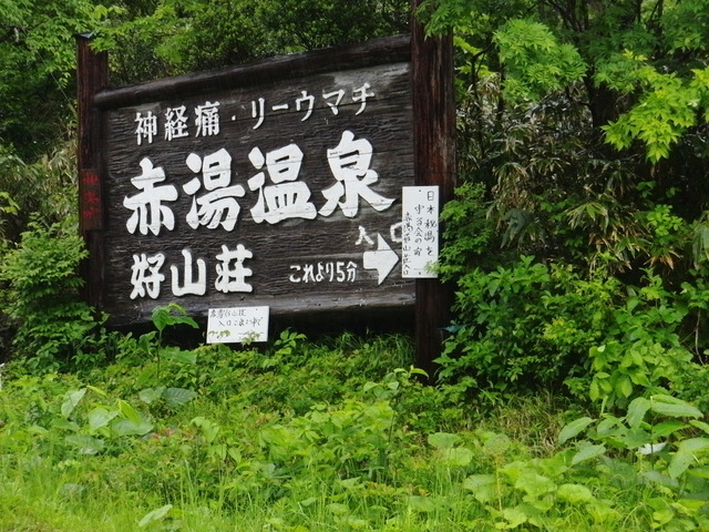 CIMG1442
