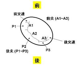 プレゼンテーション1