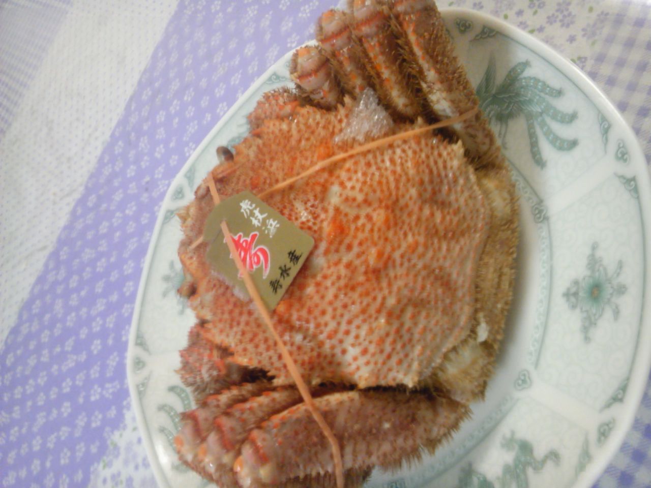 SH3F0042