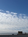 IMG_0164