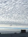 IMG_0163