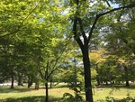 IMG_1089