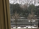 IMG_0611