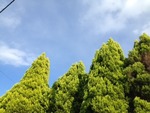 秋の空