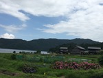 IMG_3853