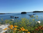 IMG_1726