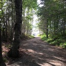 IMG_1670