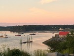 IMG_1398