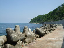 DSCF4457