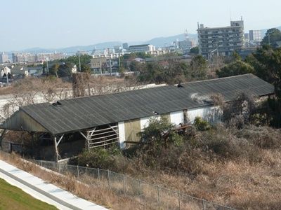 P1140033