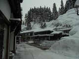 RIMG0165-1