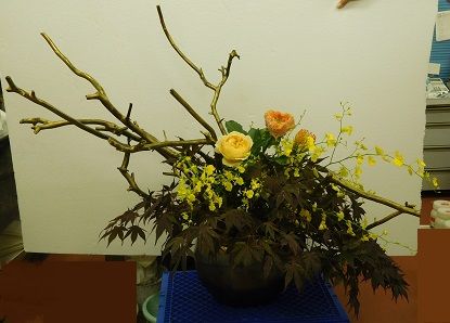 DSCN8556