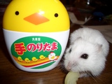 手のりたま
