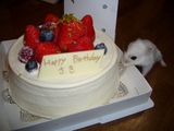 ケーキ
