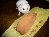 こがねいも