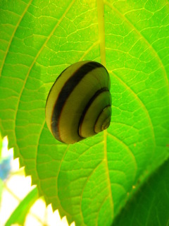 P6100127