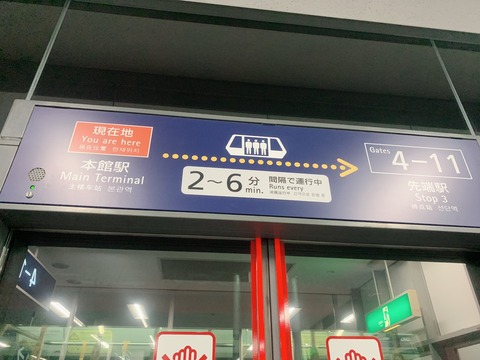 81