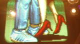 8dfc73e8.jpg