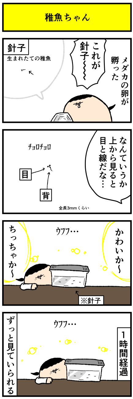 605tigyo