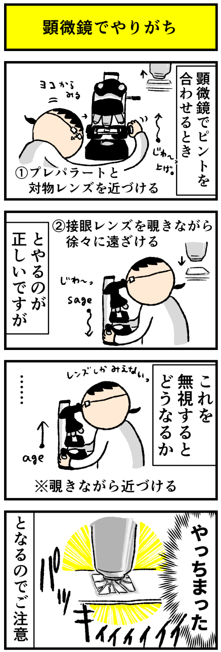 150kenbikyouaru