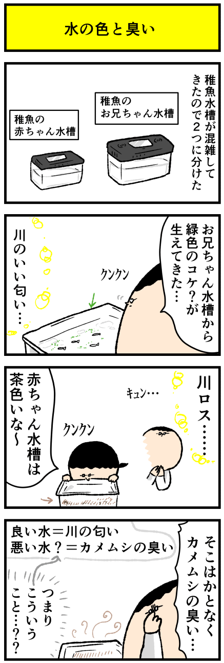 607sui