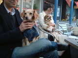cafe2