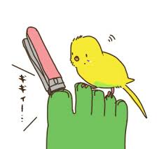 足の爪