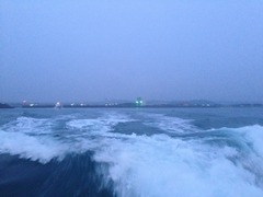 IMG_5051
