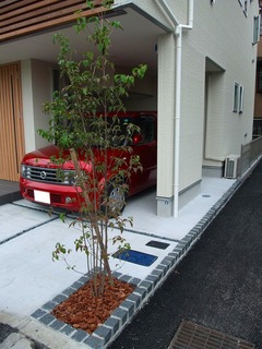 DSCF7861