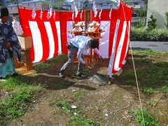 IMG_8177