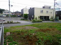 IMGP0258
