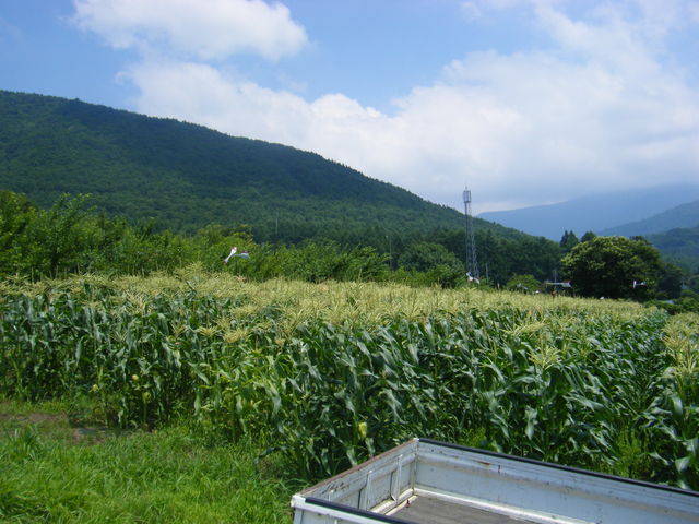 DSCF0037