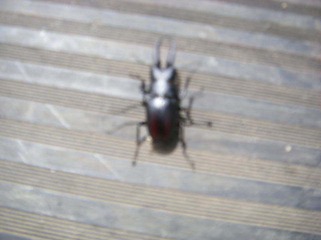 DSCF7077
