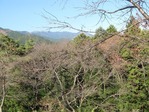 IMG_0530