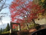 IMG_0519