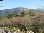 IMG_0529