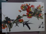 P1070317