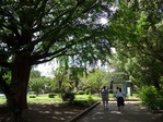 P1000193