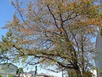 P1000892